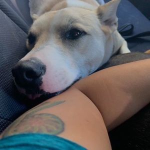 Meet your Posher, Wanda